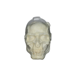 FACIAL  CALAVERA