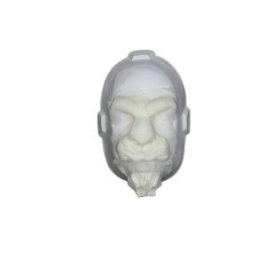 FF1 FACIAL FELINO